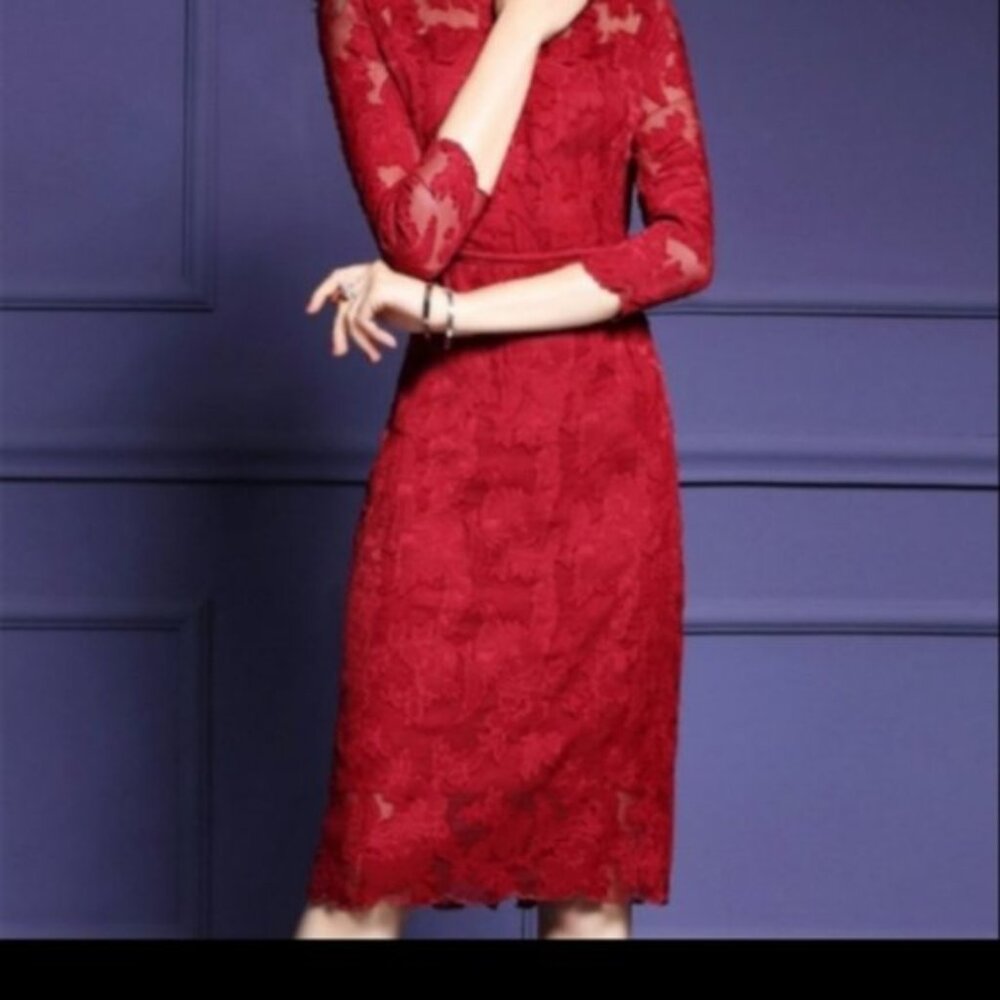Metisu Deep Red Hollow Out Lace Bodycon dress S